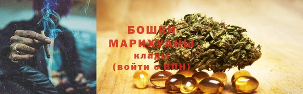 шишки Абинск