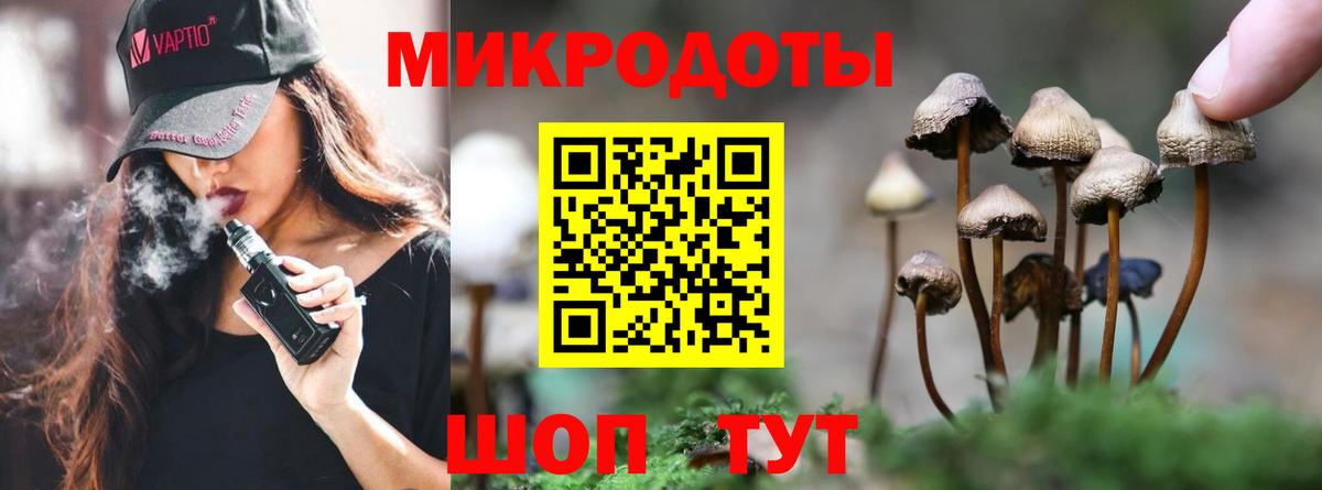 Галлюциногенные грибы мицелий Узловая