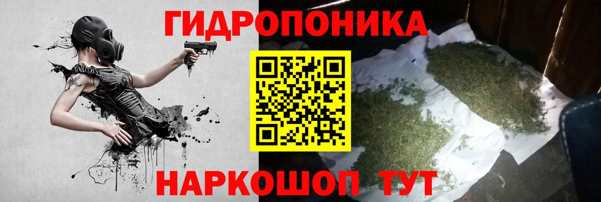 Узловая  Шишки марихуана Ganja  Шишки марихуана сатива  МАРИХУАНА конопля  Вход с VPN  Канабис Bruce Banner 