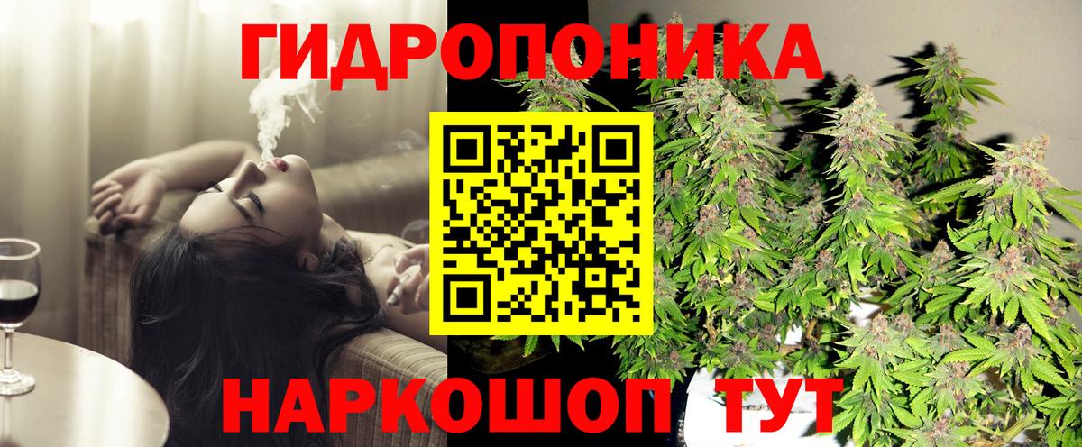 Бошки марихуана OG Kush Узловая